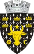 Wappen von Rădăuți