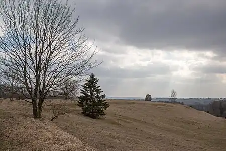 Burgplateau des Rechenbergs, Ostheim