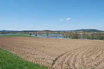 Die Regentalaue bei Pösing während eines der regelmäßigen Hochwasser