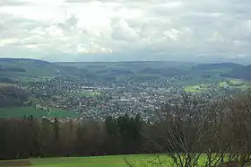 Blick vom Homberg auf Reinach