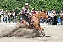 Westernreiter, der die typische Bekleidung (Chaps, Hemd und einen breitkrempigen Hut) trägt. Sein Pferd macht einen sogenannten Sliding Stop, bei dem es mit Hinterhand (seinem hinteren Körperteil) fast auf dem Boden „sitzt“. Dabei wird viel Sandboden aufgestoben.