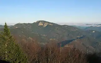 Das ostösterreichische Wort Alpe beschreibt den Mittelgebirgscharakter im Bergnamen (Reisalpe im Niederösterreichischen)