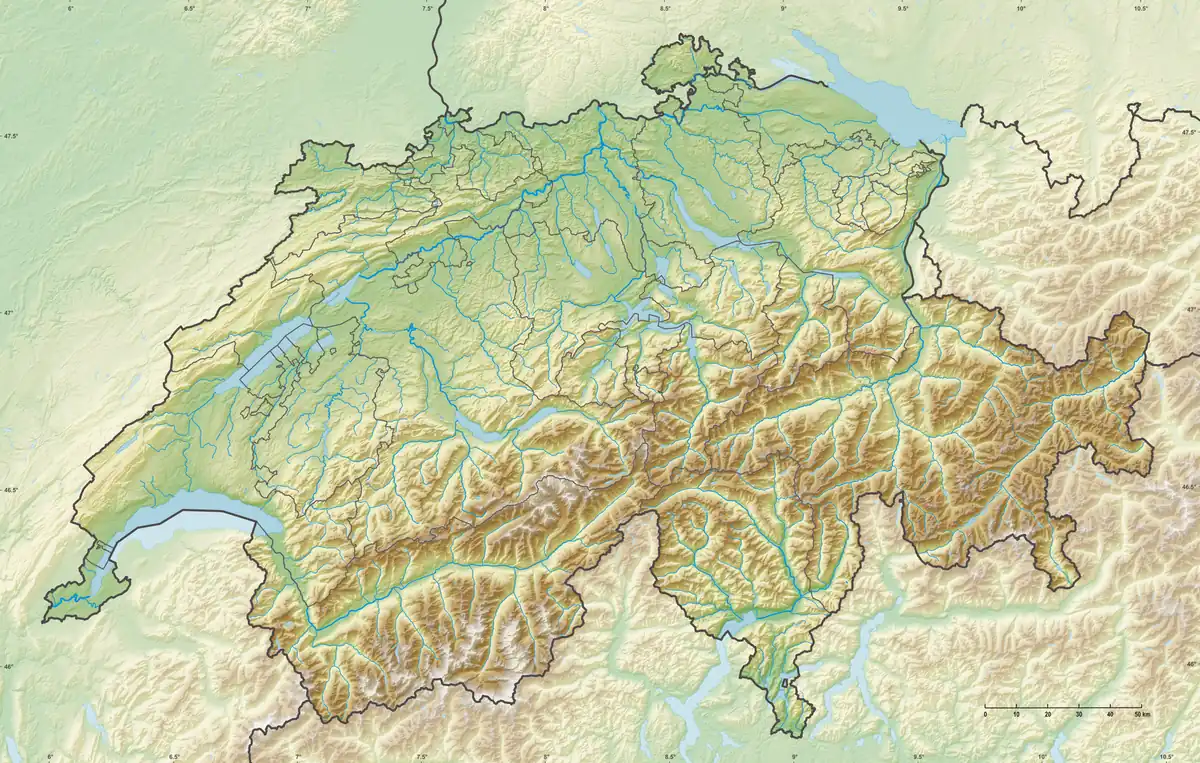 Schweizer Meisterschaften im Skispringen 2020 (Schweiz)