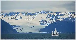 Blick von der Resurrection Bay auf den Bear-Gletscher