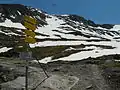 Wegweiser an der Richterhütte