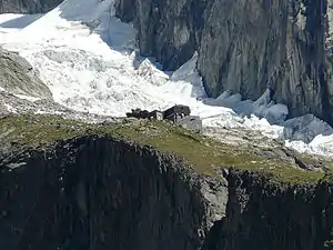 Die Hütte mit dem Frêneygletscher im Hintergrund