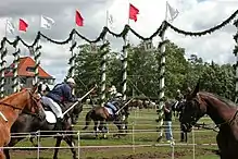 Ringreiten in Sonderburg, Dänemark