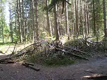 Hügel der Kreuze im Wald von Risti