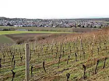 Blick auf Roßdorf vom Roßberg (2010)