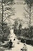 alte Rodelbahn, vor 1911