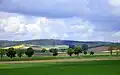 Blick vom Donaugraben Richtung Rohrwald