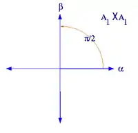 Root system A1×A1