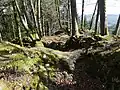 Bild 3: Blick über den Rest des Turmes zum Mauerrest des südlichen Gebäudes