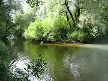 Mündung der Rottach in die Iller (rechts das andersfarbige Wasser der Iller)