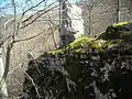 Einzig sichtbarer Mauerrest der Ruine Baldeck