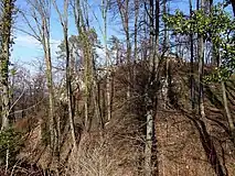 Ruine Münchsberg, Aesch, Basel-Land, Schweiz