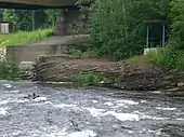 Blick in Streichrichtung ans rechte Muldenufer. Deutlich wird das Fallen in Richtung Zwickauer Stadtzentrum.