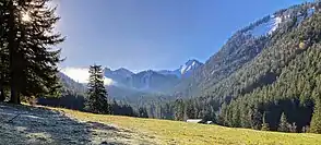 Oberes Söllbachtal mit Roßstein und Buchstein im Hintergrund