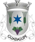 Wappen von Guadalupe