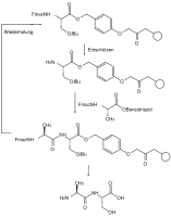 Fmoc-Festphasen Peptidsynthese mit orthogonalen Schutzgruppen