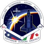 Logo von STS-100