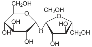 Saccharose