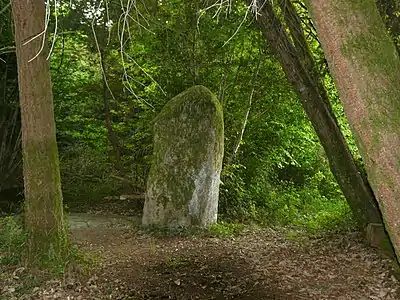 Der Menhir von Fixard