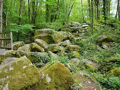 Das Felsenmeer Chapelet du Diable besteht aus grobkörnigem Granodiorit