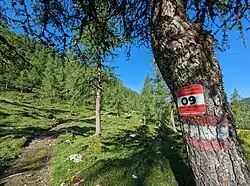 Der Salzsteigweg in der Nähe der Hochmölbinghütte