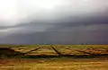 Bunte Salzwiese auf Langeoog bei Gewitter