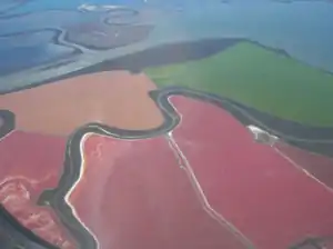 Luftaufnahme der Salzteiche in der Bucht von San Francisco