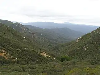 San Mateo Canyon Wilderness, südliche Santa Ana Mountains, April 2007.