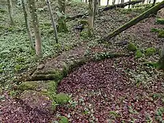 Zisterne in der Vorburg unter dem Burgfelsen