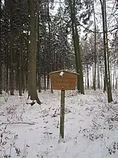 Der Scharfe Berg, die höchste Erhebung des Stemweder Bergs