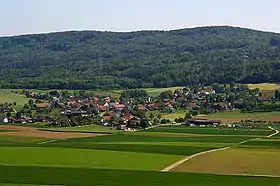 Blick auf Scherz von der Habsburg aus