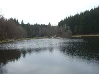 Flonterbachweiher (Schillinger Waldweiher)