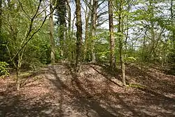 Dolmen von Wittenborn