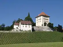 Schloss Heidegg