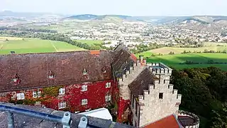 Blick vom Schloss Saaleck auf Hammelburger Weinberge