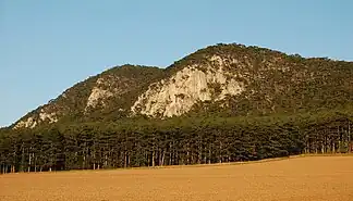 Schlossberg (584 m) von Westen