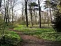 Parkgelände am Weiher