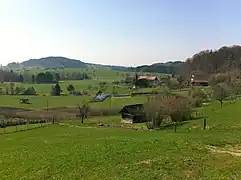 Der Weiler Schonau an der Hauptstrasse von Unter-Rifferswil zum Albispass, März 2011