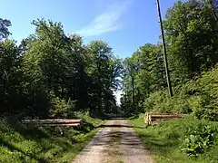 Schotterweg bei Weidelsburg