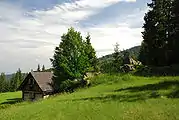 Einige Schröfeln östlich der See Eben (Hausfelsen der Alten Stoffhütte)