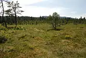 Im Süden der See Eben liegt der Bärofen.