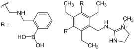 Receptor for selectively binding tannines