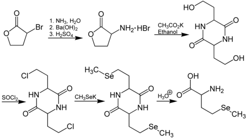 Synthese von (RS)-Selenomethionin.