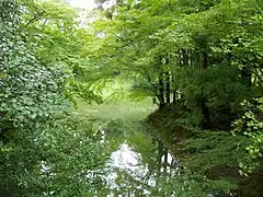 Blick zum Nordteich