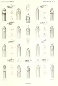 Tantilla deppei (Figuren 11 a,b, c, d) illustriert von Marie-Firmin Bocourt