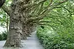 Sihlpromenade, früher am Sihlkanal, heute an der seit 1927 umgeleiteten Sihl